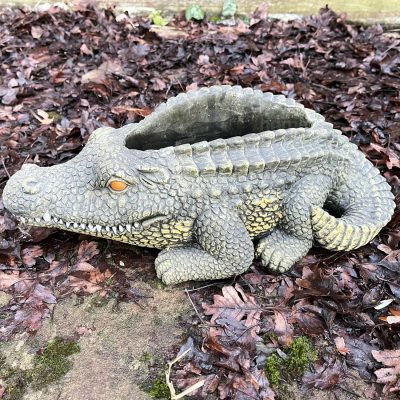 Cement Crocodile Planter | Darthome Garden Decor Garden Darthome