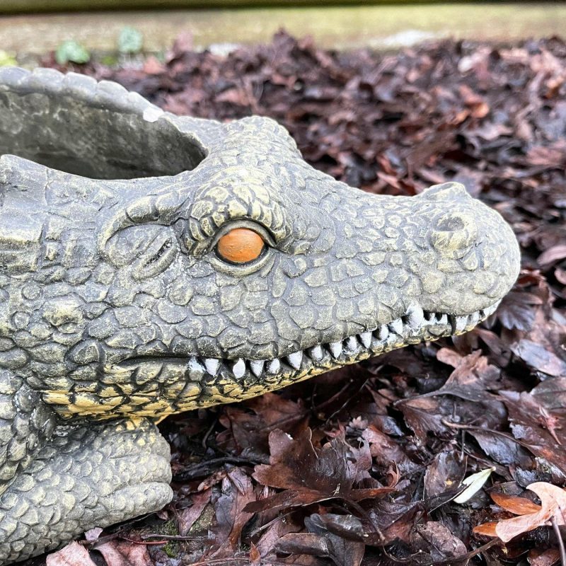 Cement Crocodile Planter | Darthome Garden Decor Garden Darthome