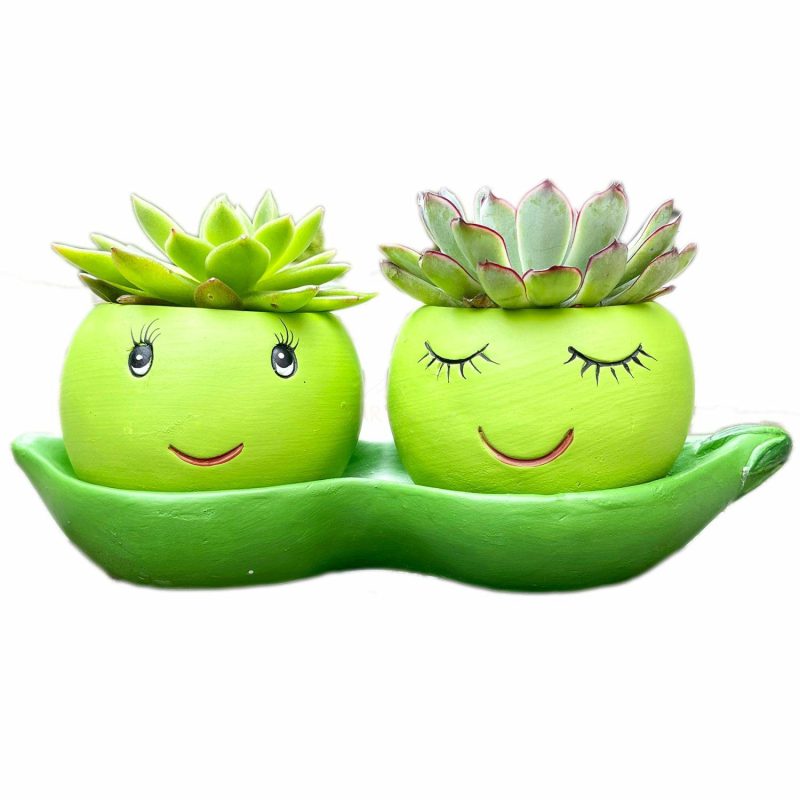 Cement Two Peas In A Pod Succulent Planter | Darthome Garden Decor Garden Darthome