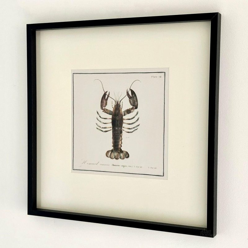 Framed Lobster Crustacean Wall Art | Darthome Wall Hangings Decor Black