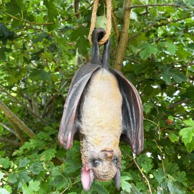 Hanging Bat Garden Ornament | Darthome Garden Decor Garden Darthome