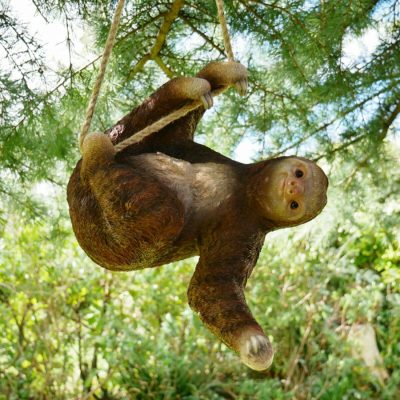 Hanging Sloth Garden Sculpture | Darthome Garden Decor Garden Darthome