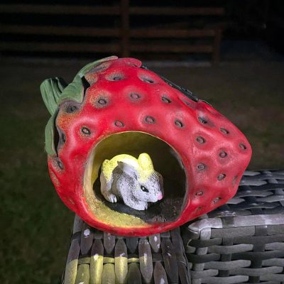 Rabbit In Strawberry Solar Garden Ornament | Darthome Garden Decor Garden Darthome