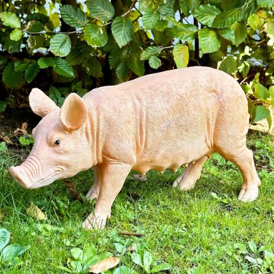 Rashy The Pig Garden Ornament | Darthome Garden Decor Garden Darthome