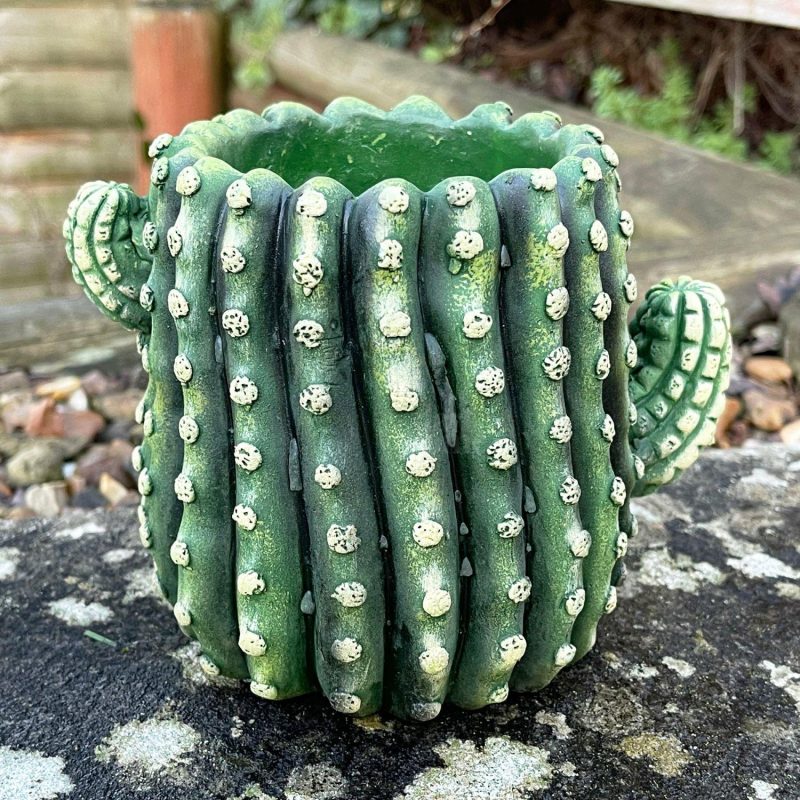 Small Cement Cactus Planter | Darthome Garden Decor Garden Darthome