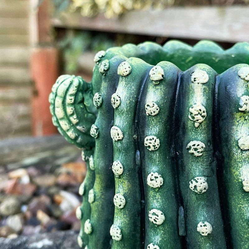 Small Cement Cactus Planter | Darthome Garden Decor Garden Darthome