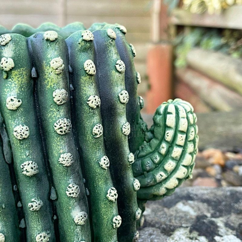 Small Cement Cactus Planter | Darthome Garden Decor Garden Darthome