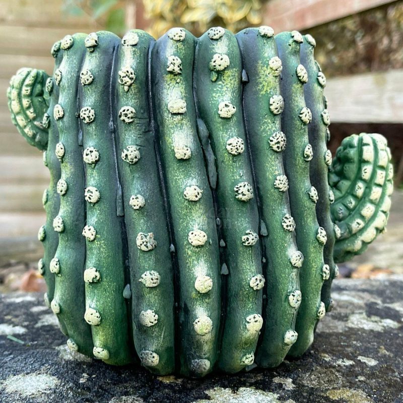 Small Cement Cactus Planter | Darthome Garden Decor Garden Darthome