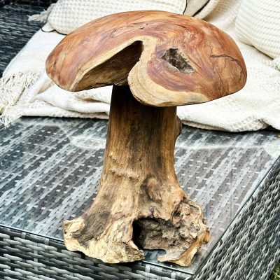 Teak Root Mushroom Sculpture 35cm | Darthome Garden Decor Garden Brown