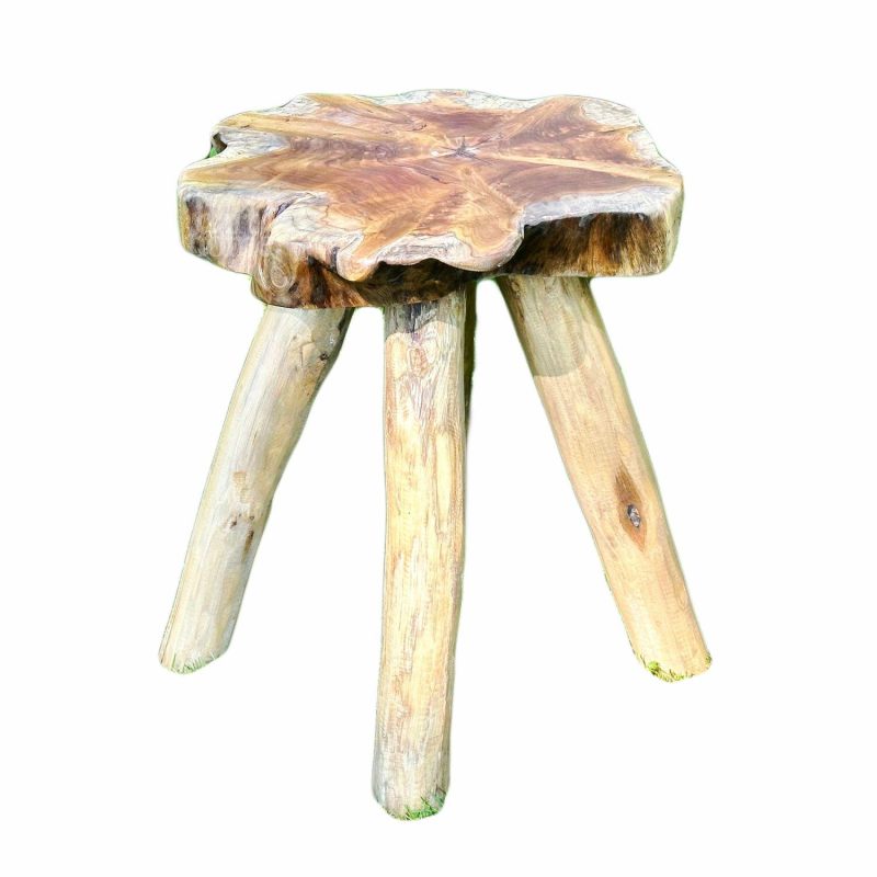 Teak Root Mushroom Stool With 4 Legs | Darthome Garden Furniture Garden Brown