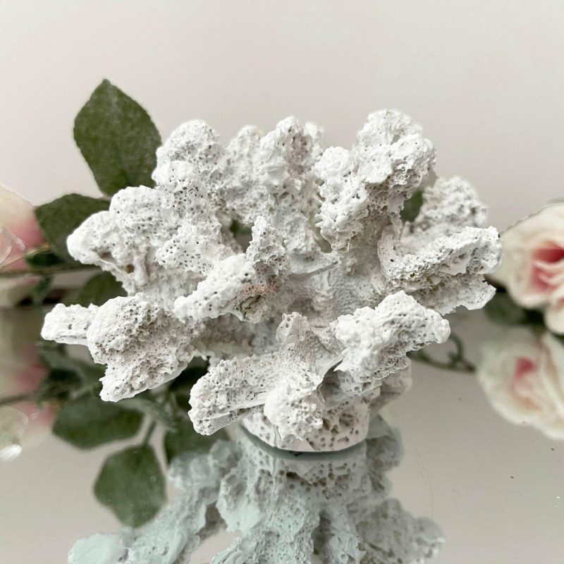 White Faux Coral Sea Coast Sculpture | Darthome Ornaments Decor Darthome