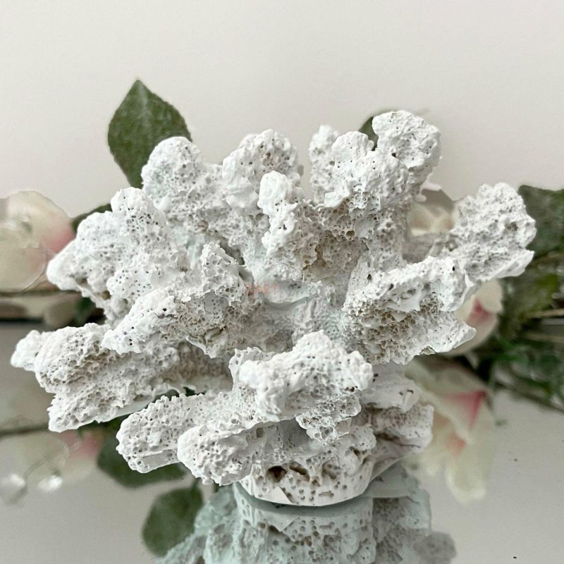 White Faux Coral Sea Coast Sculpture | Darthome Ornaments Decor Darthome